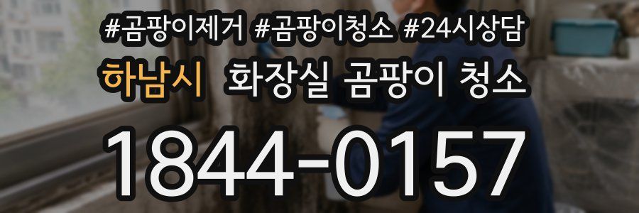 하남시 화장실 곰팡이 청소