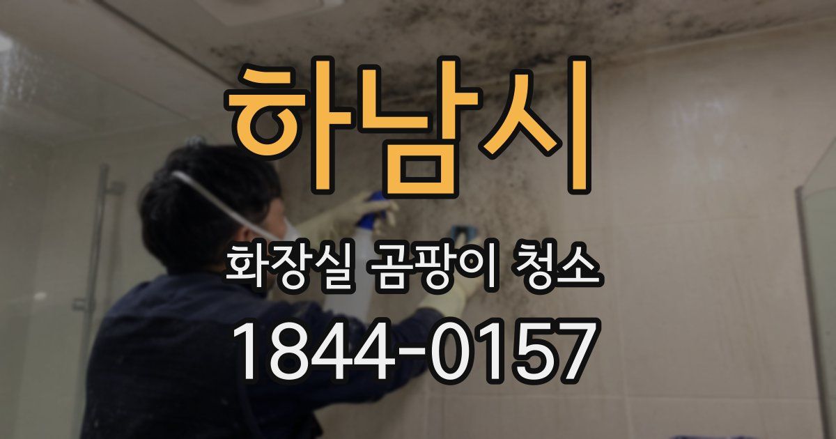하남시 화장실 곰팡이 청소