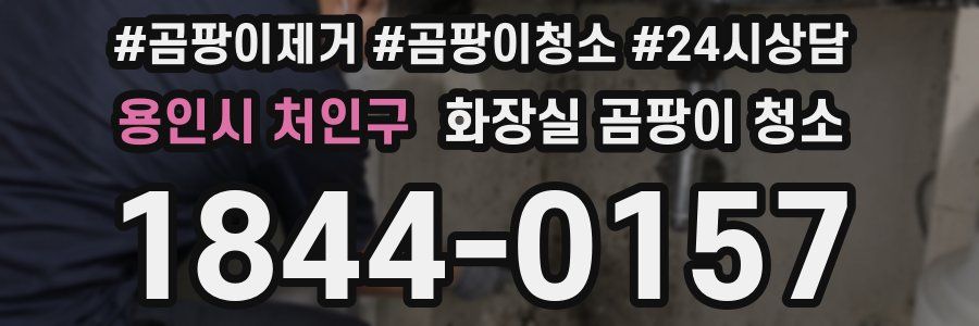 용인시 처인구 화장실 곰팡이 청소