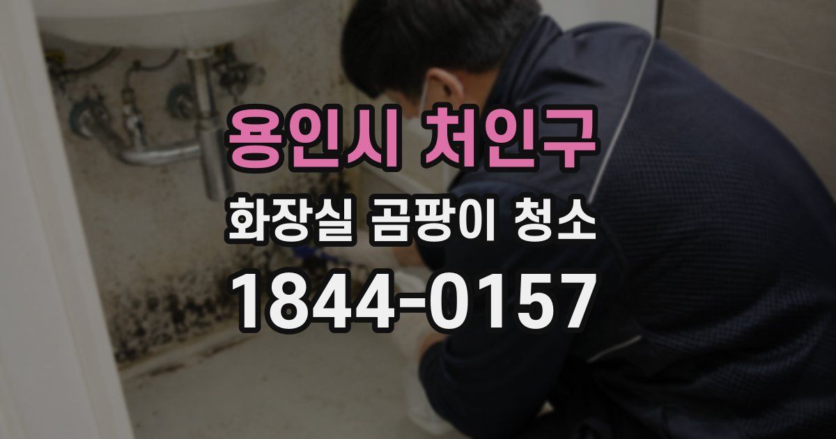 용인시 처인구 화장실 곰팡이 청소