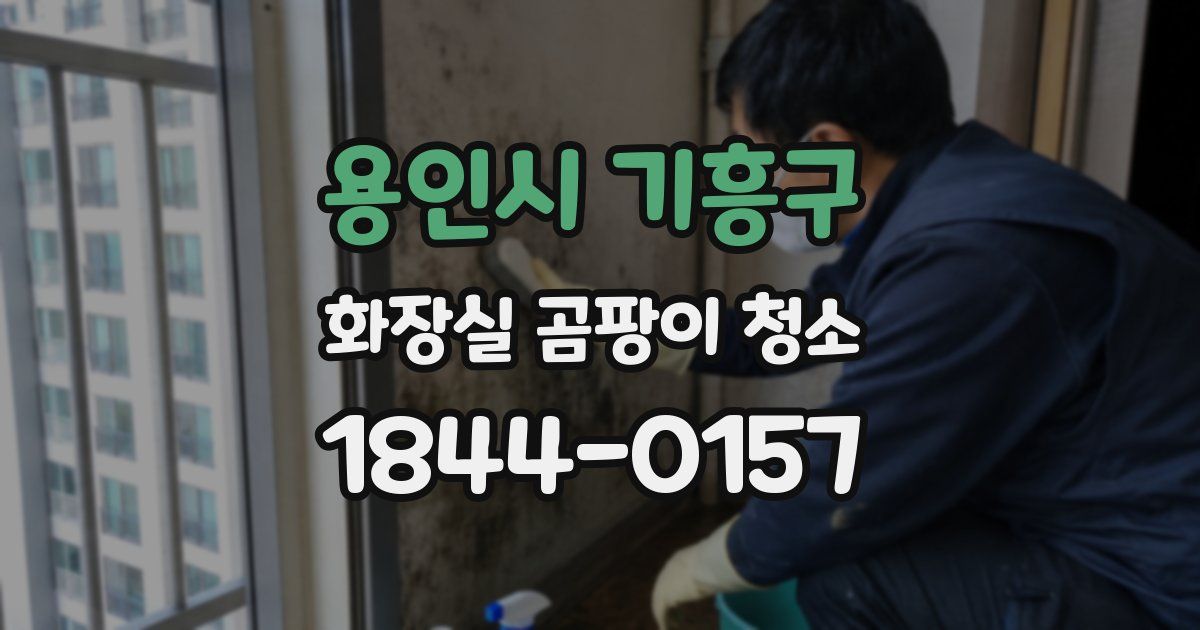 용인시 기흥구 화장실 곰팡이 청소