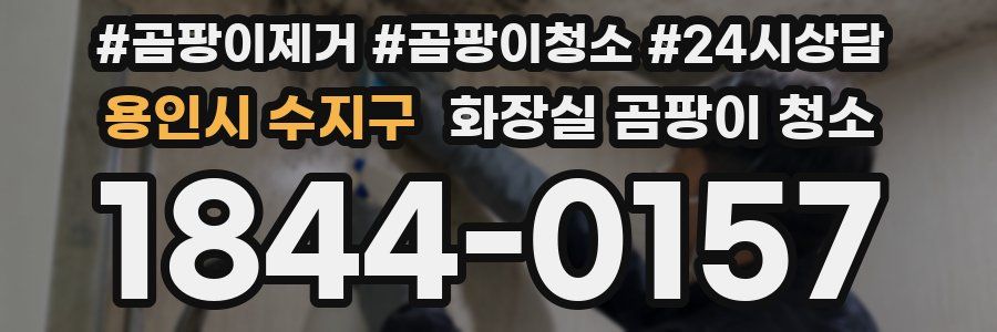 용인시 수지구 화장실 곰팡이 청소