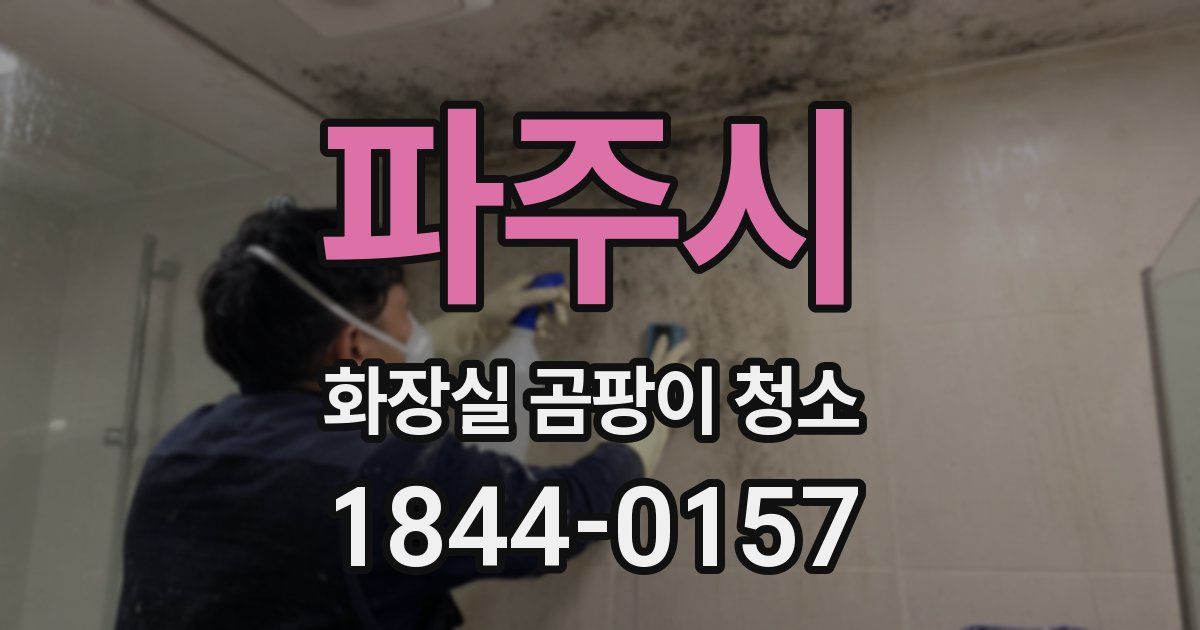 파주시 화장실 곰팡이 청소
