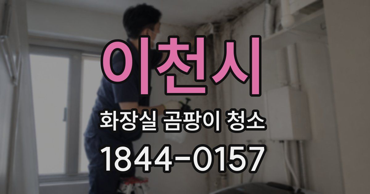이천시 화장실 곰팡이 청소