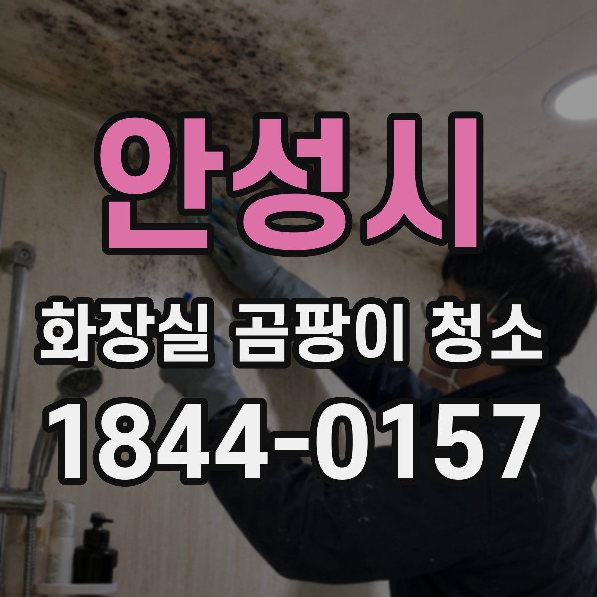 안성시 화장실 곰팡이 청소 전 습기 원인부터 점검하는 방법