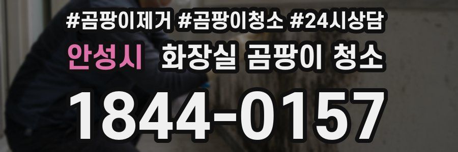 안성시 화장실 곰팡이 청소
