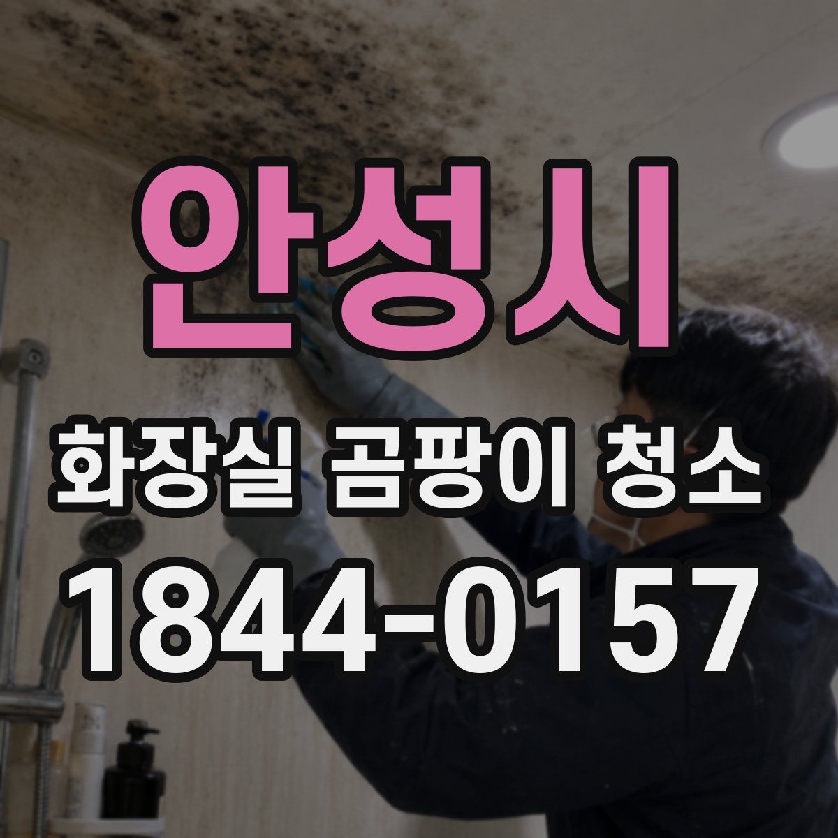 안성시 화장실 곰팡이 청소