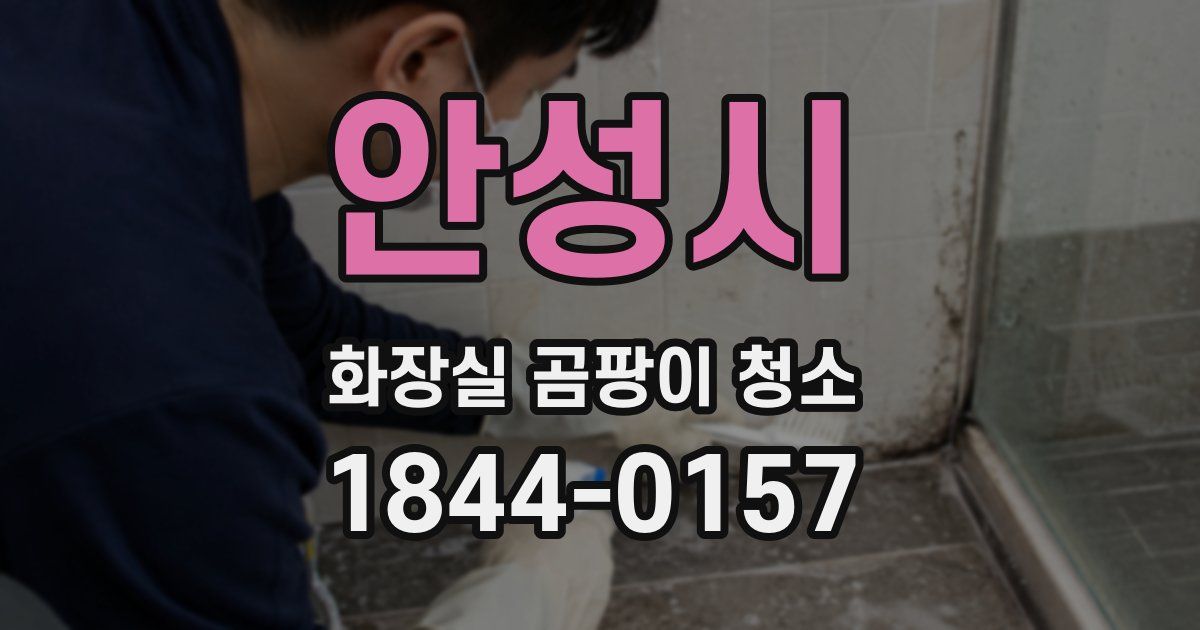 안성시 화장실 곰팡이 청소