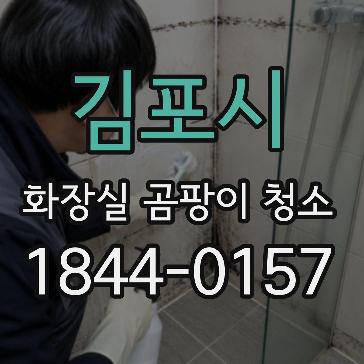 김포시 화장실 곰팡이 청소