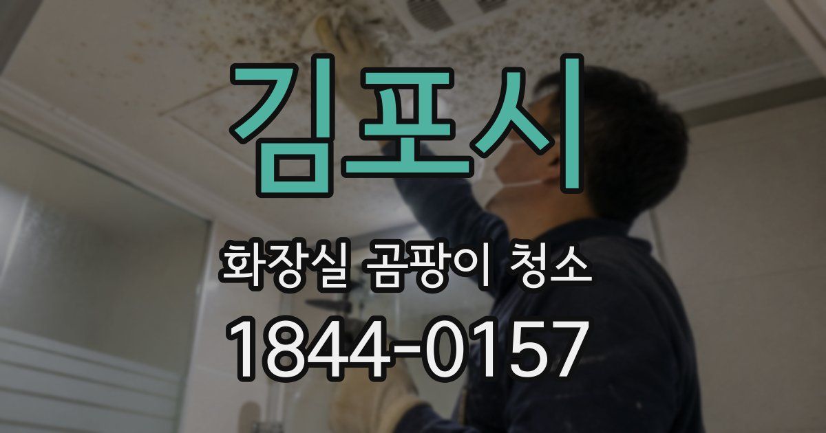김포시 화장실 곰팡이 청소