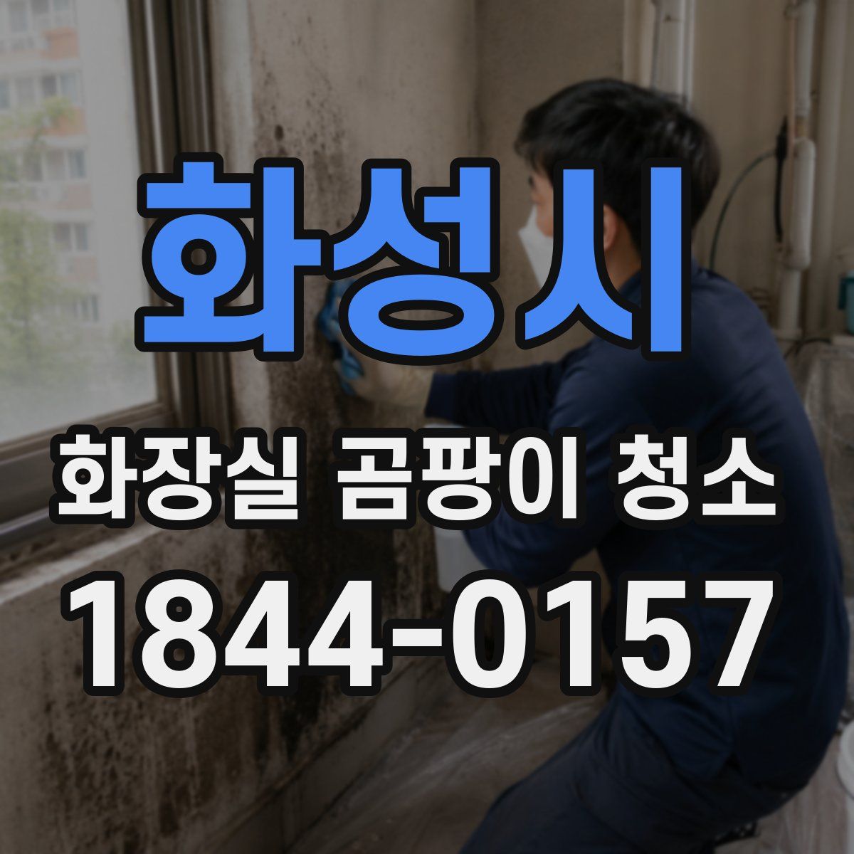 화성시 화장실 곰팡이 청소