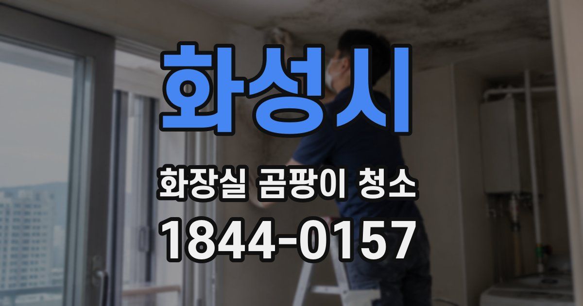 화성시 화장실 곰팡이 청소