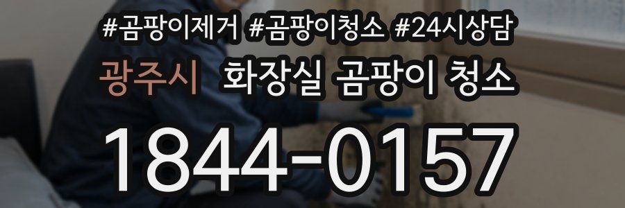 광주시 화장실 곰팡이 청소