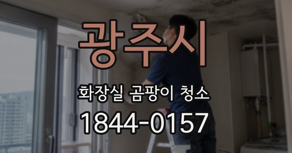광주시 화장실 곰팡이 청소