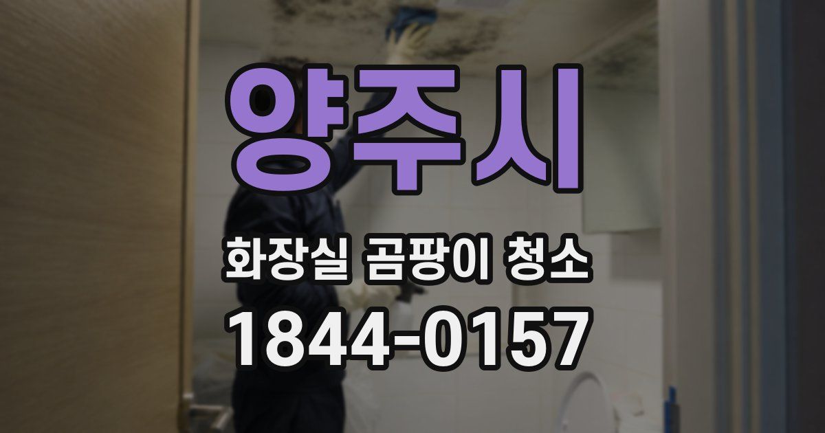 양주시 화장실 곰팡이 청소