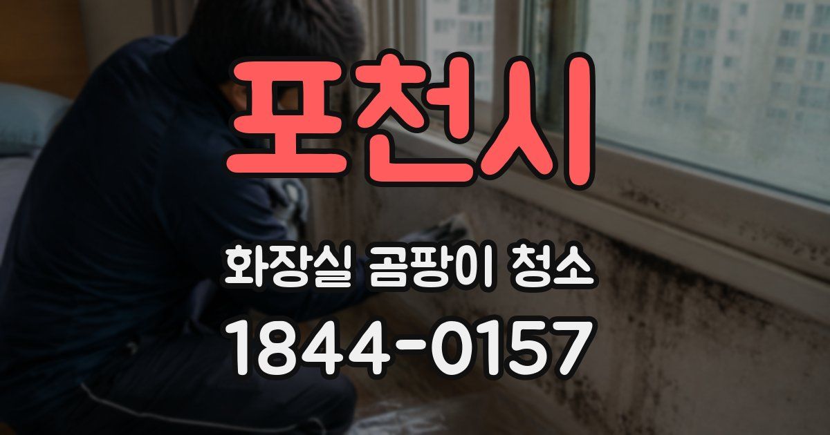 포천시 화장실 곰팡이 청소