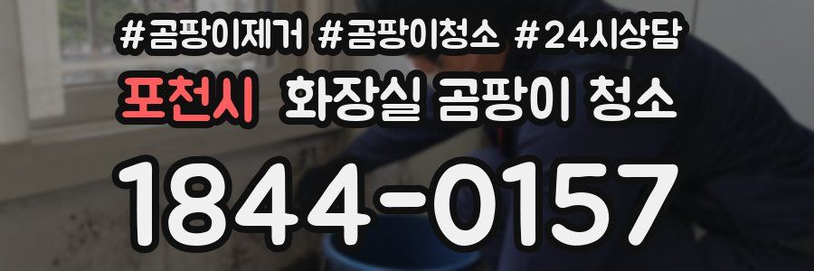 포천시 화장실 곰팡이 청소