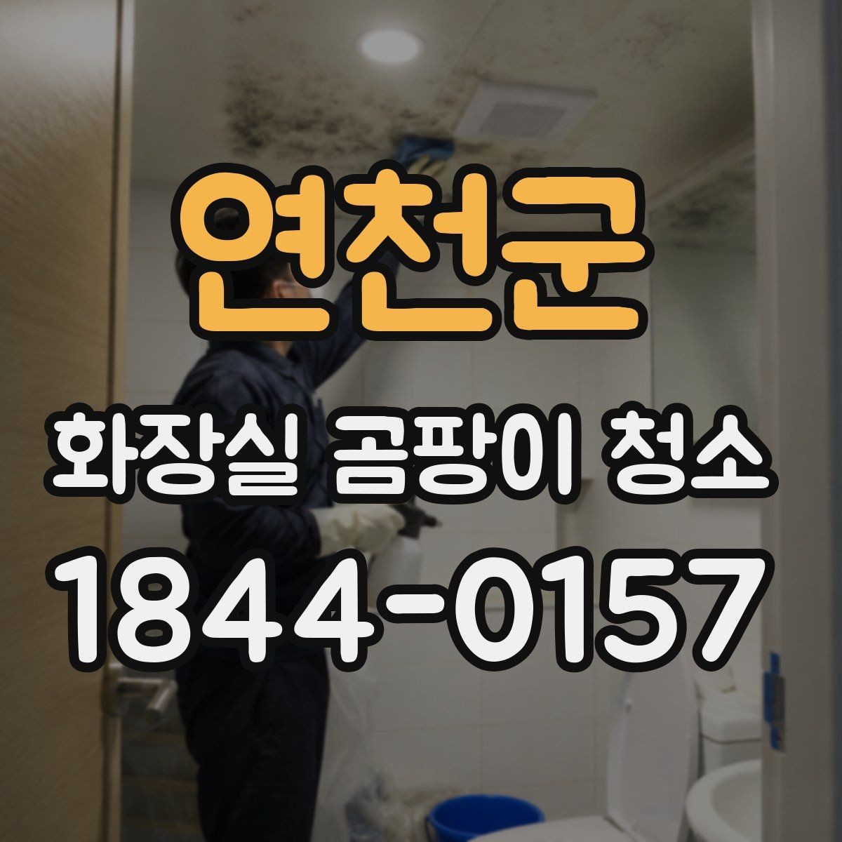 연천군 화장실 곰팡이 청소 얼룩이 남는 벽면의 공통 원인