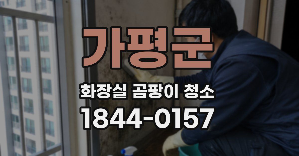가평군 화장실 곰팡이 청소