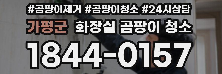 가평군 화장실 곰팡이 청소