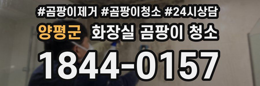 양평군 화장실 곰팡이 청소