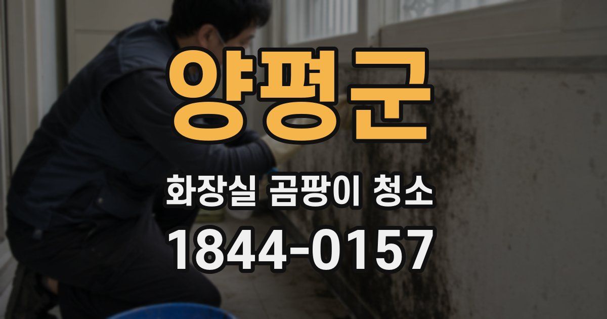 양평군 화장실 곰팡이 청소