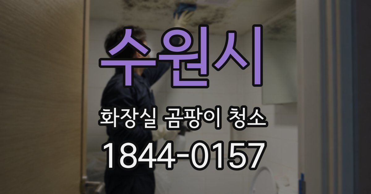 수원시 화장실 곰팡이 청소