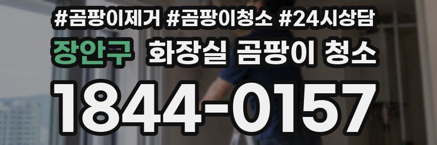 장안구 화장실 곰팡이 청소