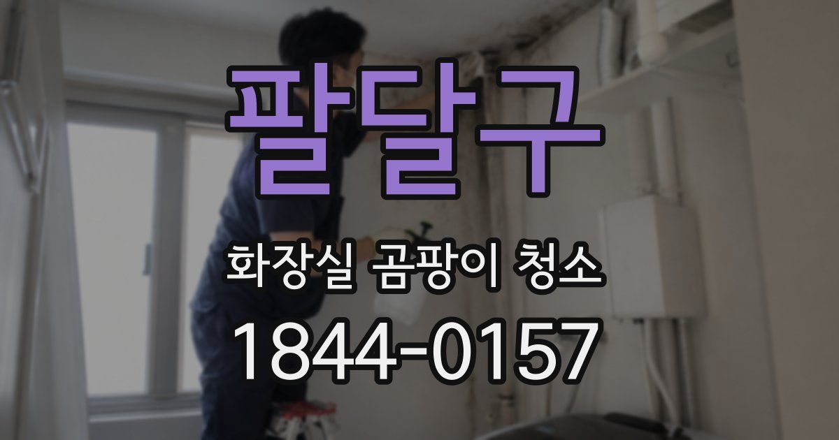 팔달구 화장실 곰팡이 청소