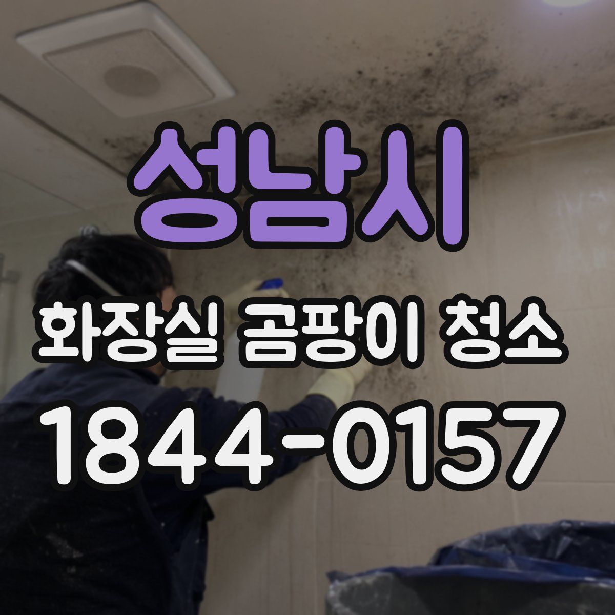 성남시 화장실 곰팡이 청소