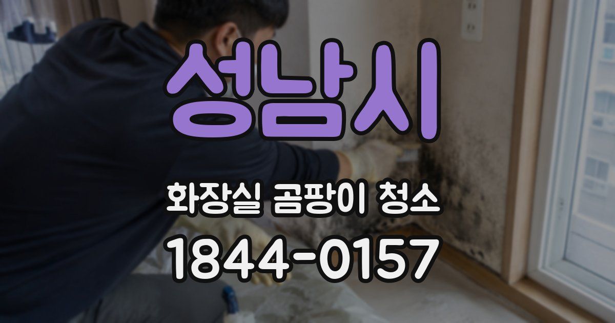 성남시 화장실 곰팡이 청소