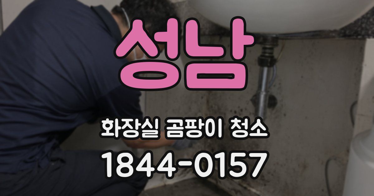 성남 화장실 곰팡이 청소