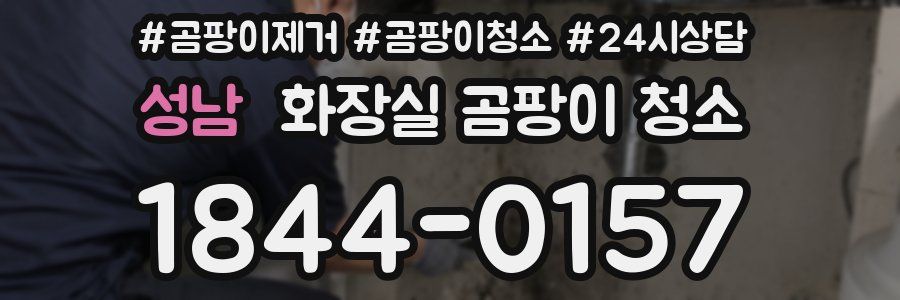 성남 화장실 곰팡이 청소