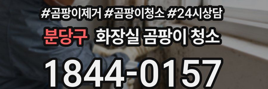 분당구 화장실 곰팡이 청소