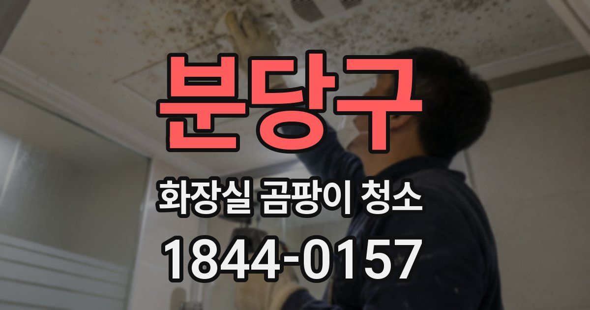분당구 화장실 곰팡이 청소