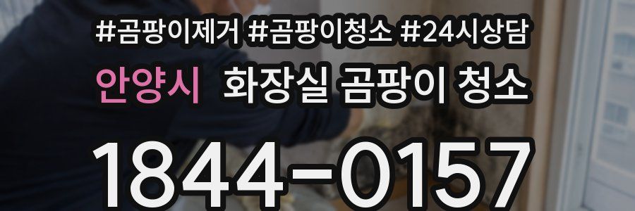 안양시 화장실 곰팡이 청소