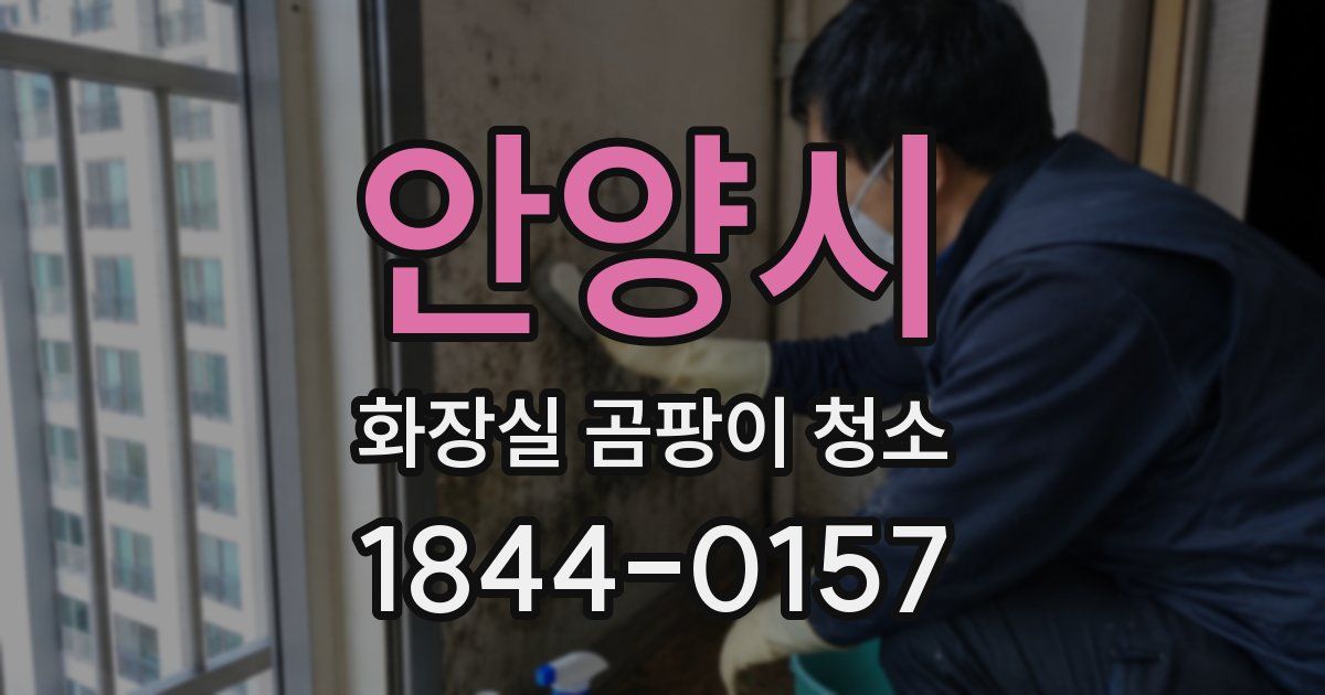 안양시 화장실 곰팡이 청소