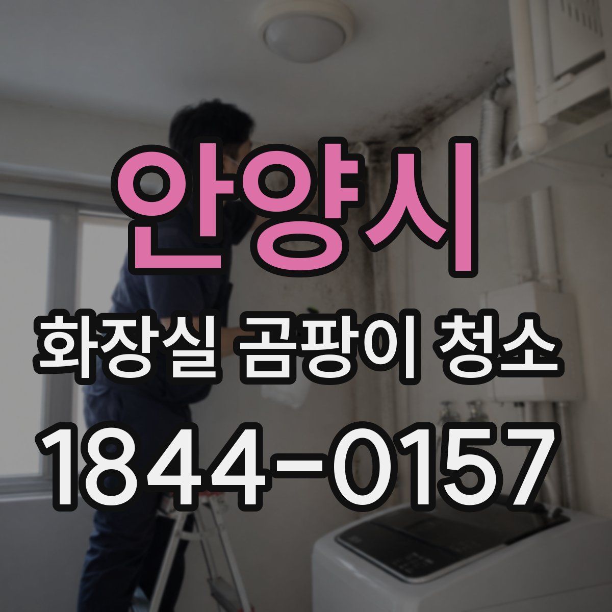 안양시 화장실 곰팡이 청소