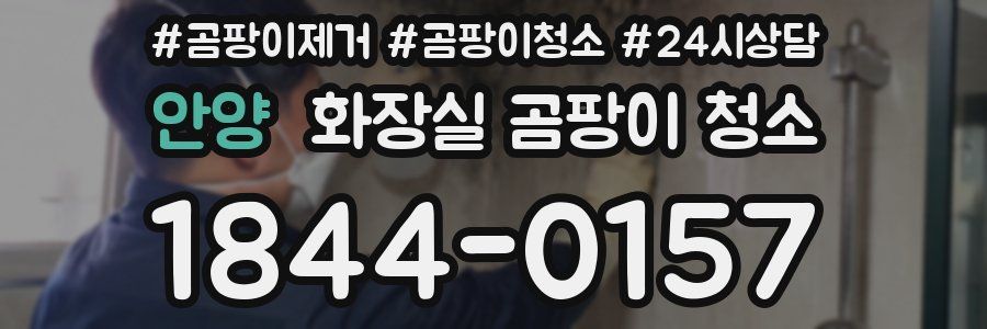 안양 화장실 곰팡이 청소