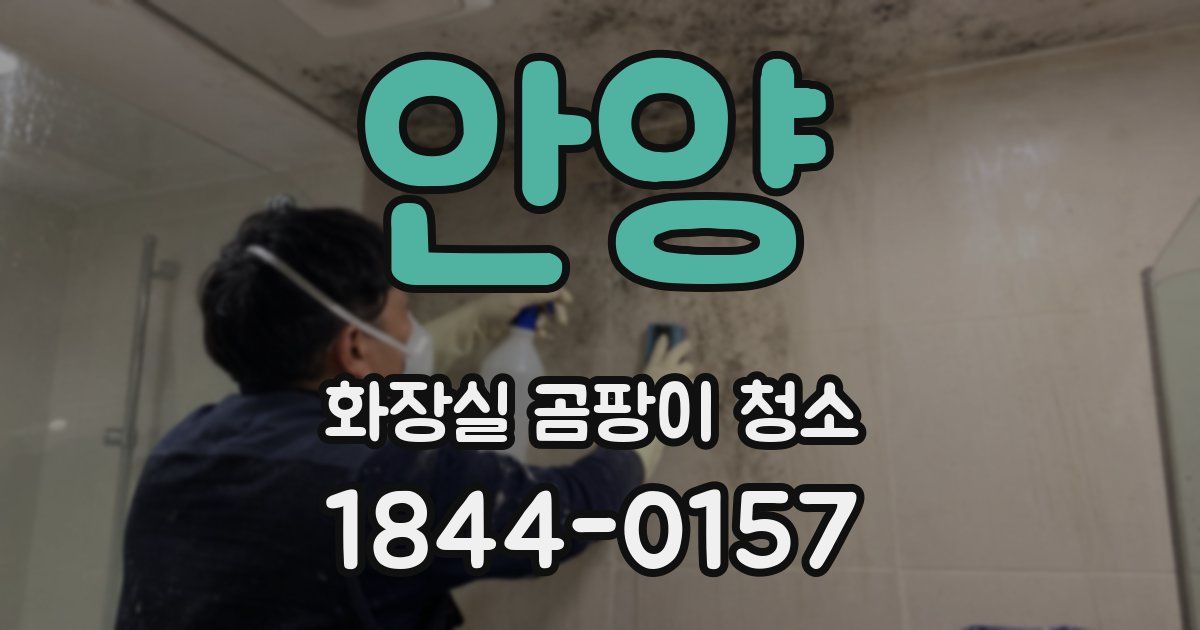 안양 화장실 곰팡이 청소