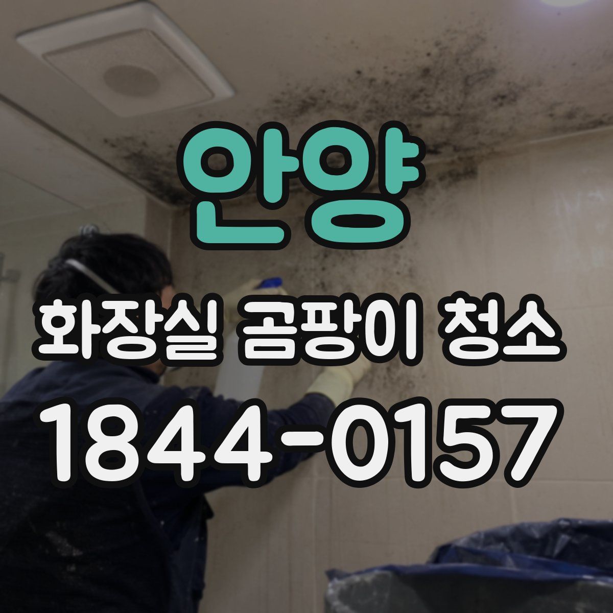 안양 화장실 곰팡이 청소