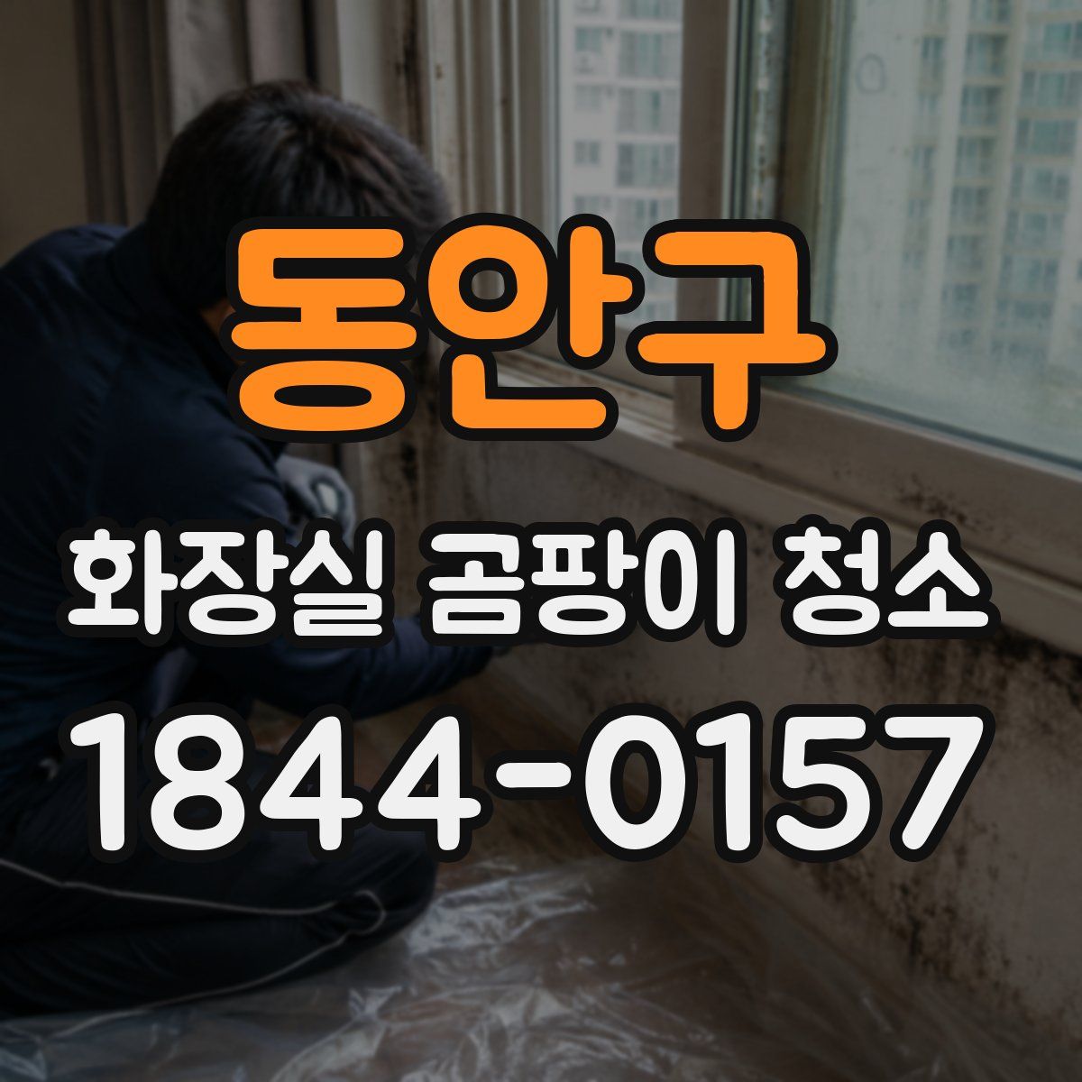 동안구 화장실 곰팡이 청소