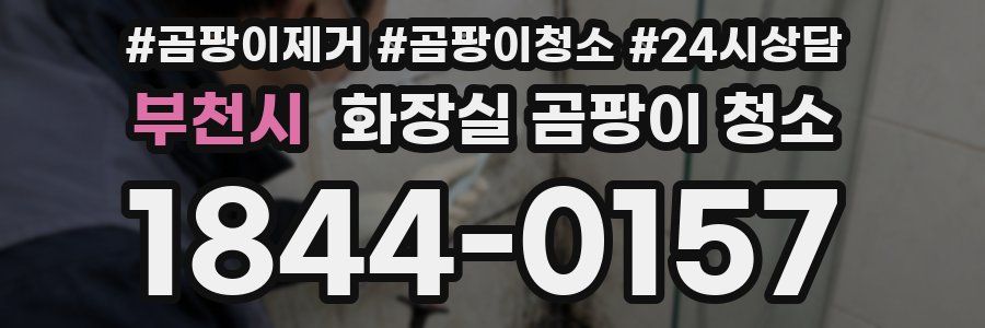 부천시 화장실 곰팡이 청소