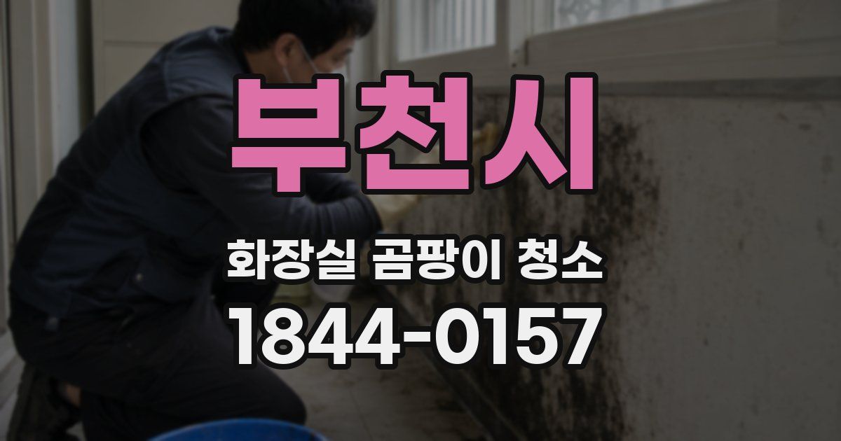 부천시 화장실 곰팡이 청소
