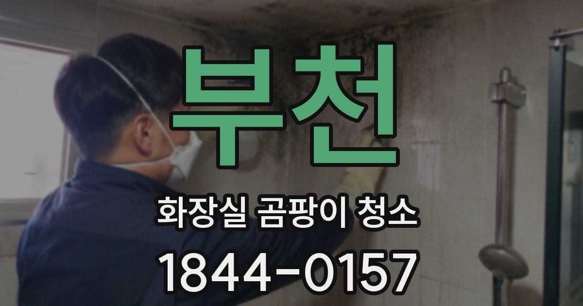 부천 화장실 곰팡이 청소