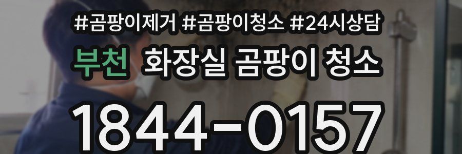 부천 화장실 곰팡이 청소