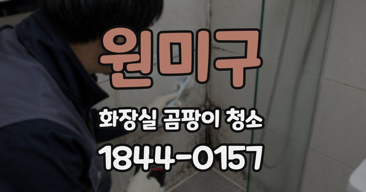 원미구 화장실 곰팡이 청소