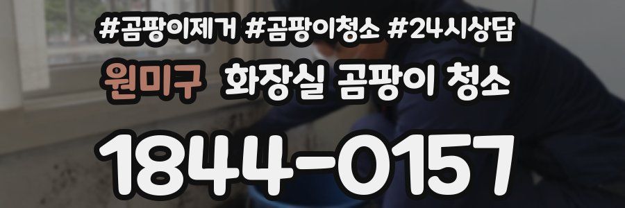 원미구 화장실 곰팡이 청소