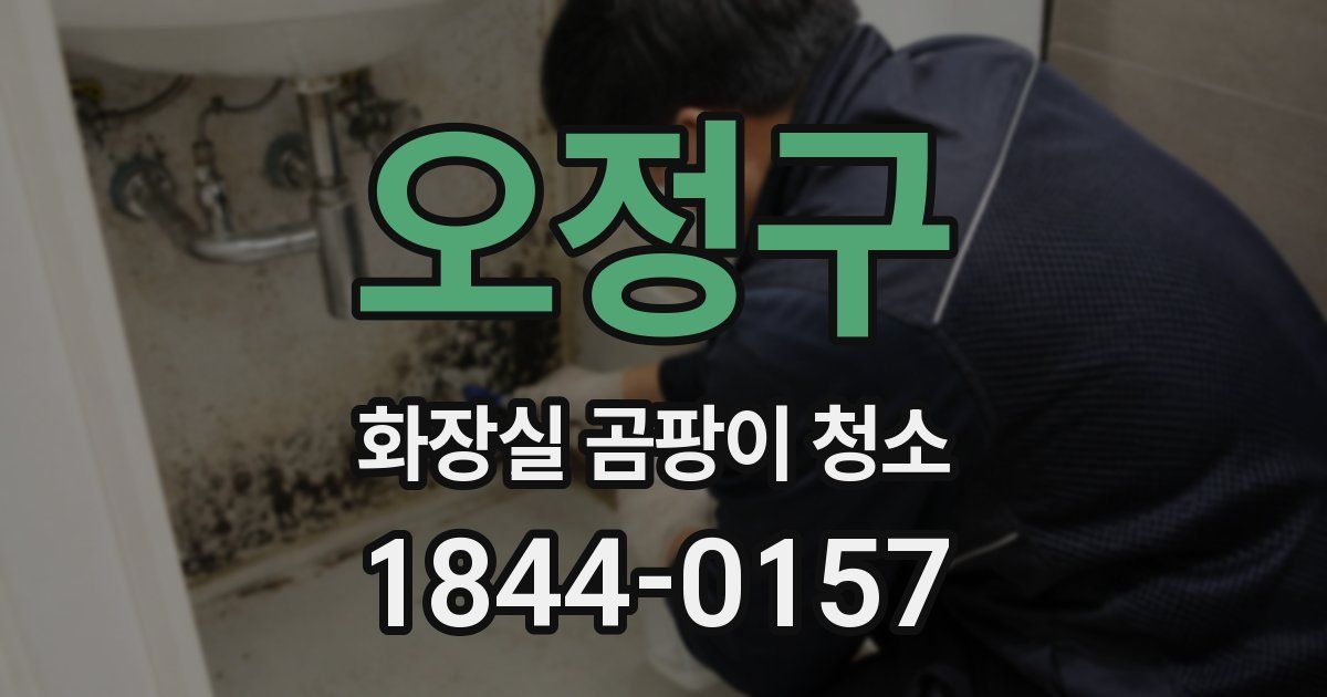 오정구 화장실 곰팡이 청소