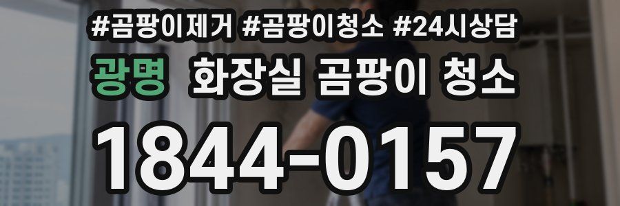 광명 화장실 곰팡이 청소